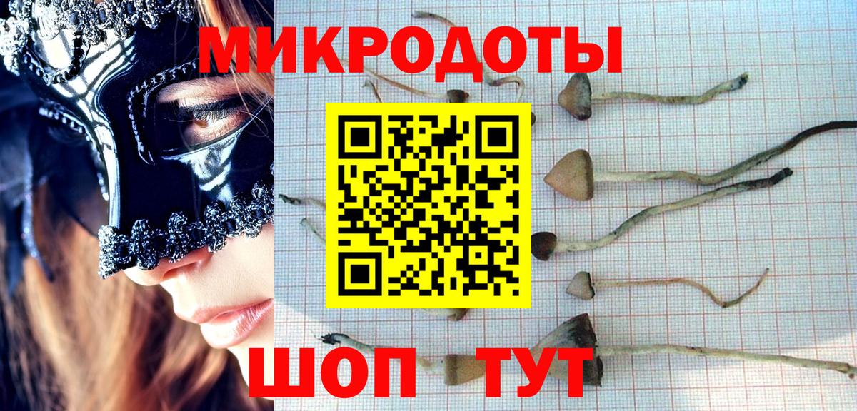 Беслан  Псилоцибиновые грибы Psilocybe  цена   Вход с VPN  Псилоцибиновые грибы GOLDEN TEACHER 
